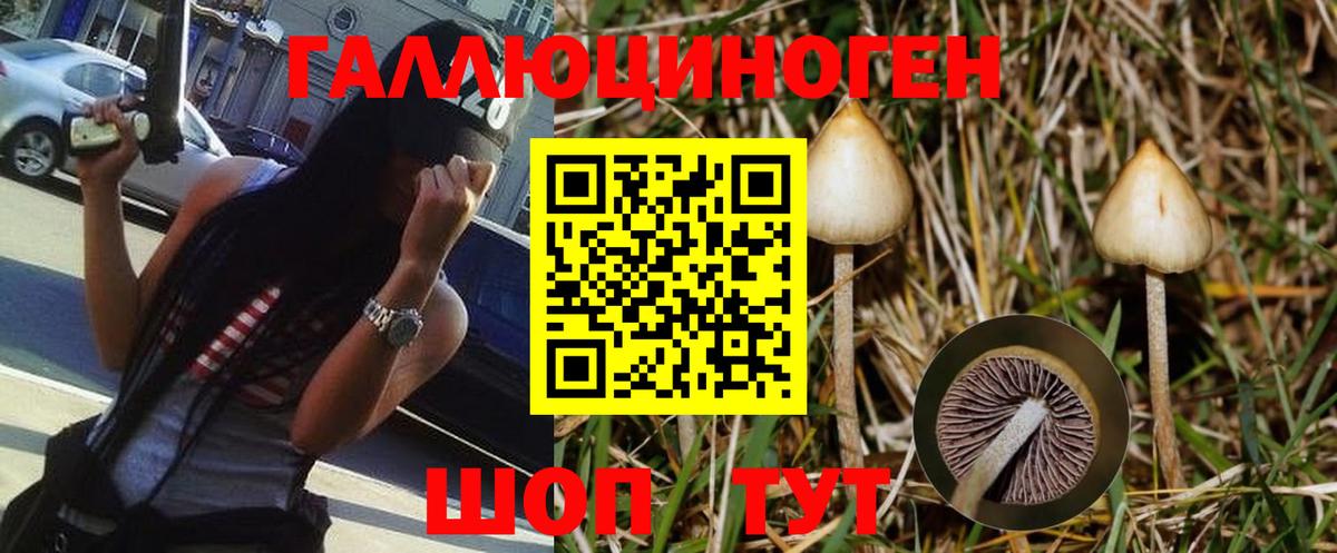 Галлюциногенные грибы мицелий Трёхгорный