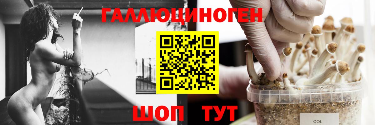 Псилоцибиновые грибы мицелий  Псилоцибиновые грибы прущие грибы  Трёхгорный  Вход с VPN 